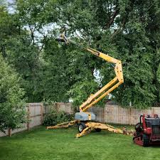 Best Lawn Maintenance Plans  in Bonanza, GA