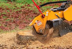 Best Tree Fertilization  in Bonanza, GA