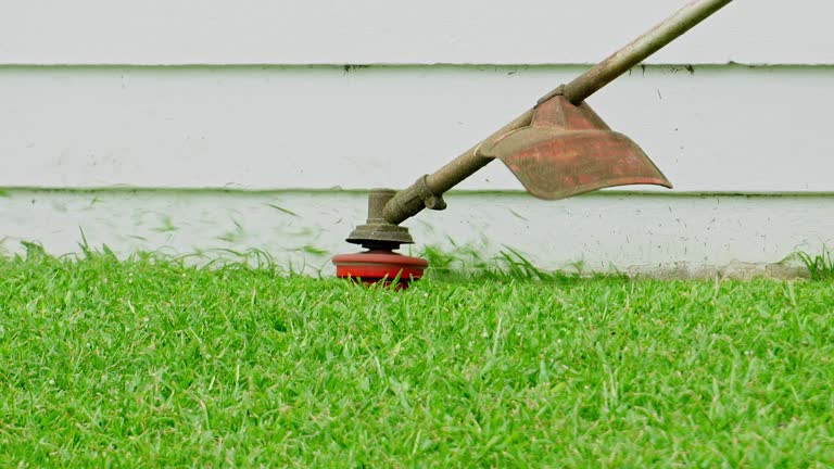 Lawn Drainage Solutions in Bonanza, GA